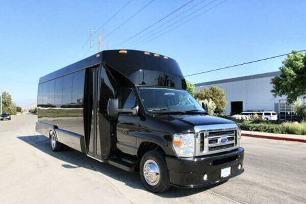 20 passenger party bus