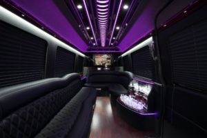 sprinter passenger in Kansas City Interior