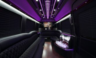 sprinter passenger in Kansas City Interior